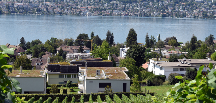 Communique Zu unseren Themen